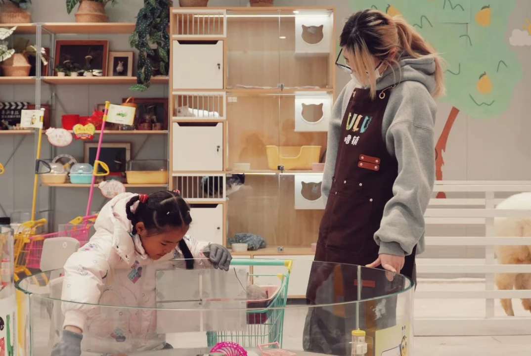 灵活适配多种场景