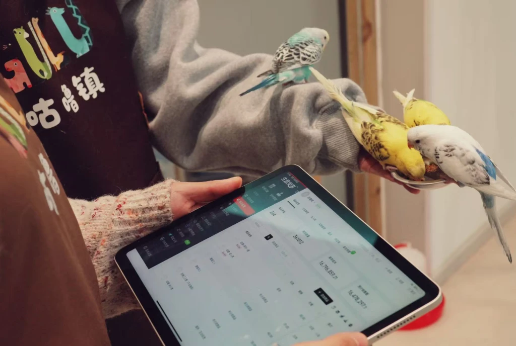 Windows 应用下载